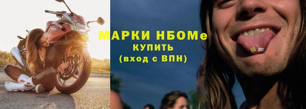 ECSTASY Сосновка