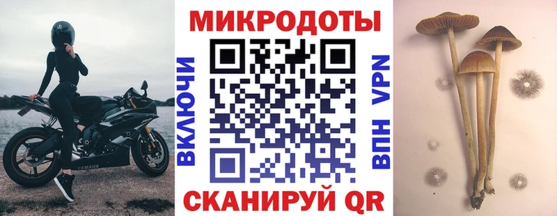 МЕГА ссылки  Мончегорск  Псилоцибиновые грибы мицелий 