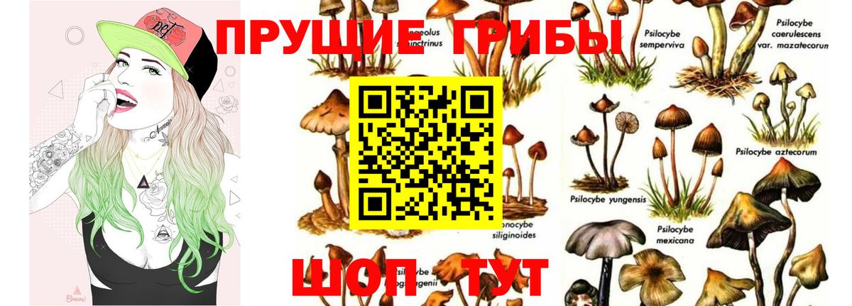 Псилоцибиновые грибы MAGIC MUSHROOMS Мончегорск