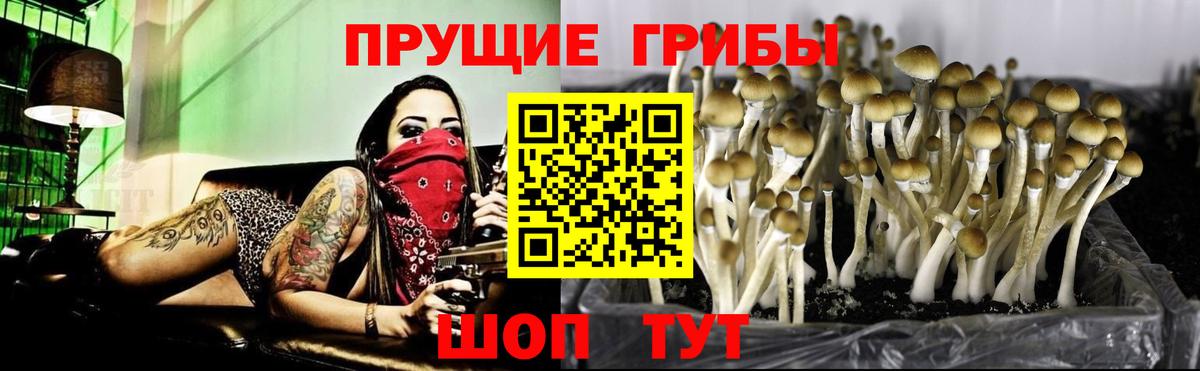 Мончегорск  Галлюциногенные грибы ЛСД  Вход с VPN  Галлюциногенные грибы Magic Shrooms 