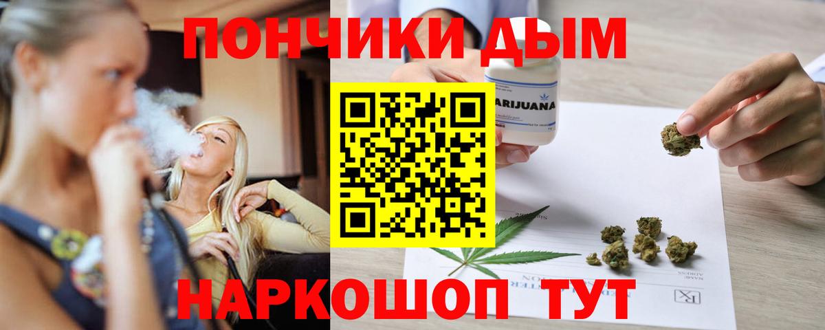 Канабис сатива Мончегорск